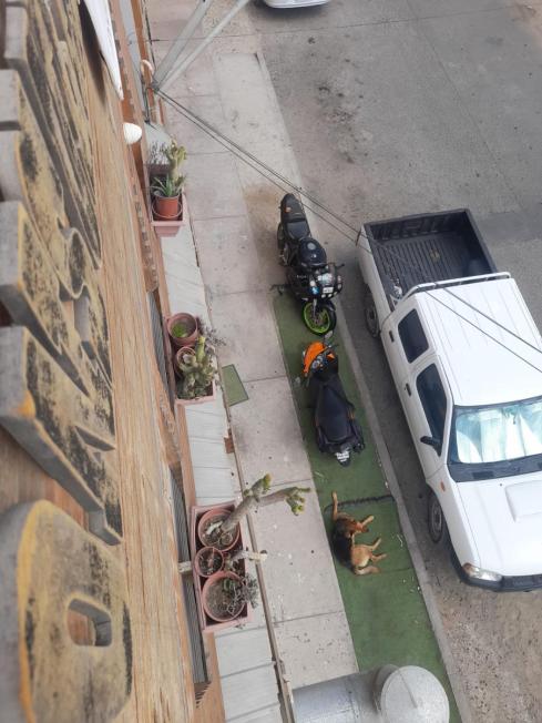 Acceso exterior y espacio para vehículos junto al hostal